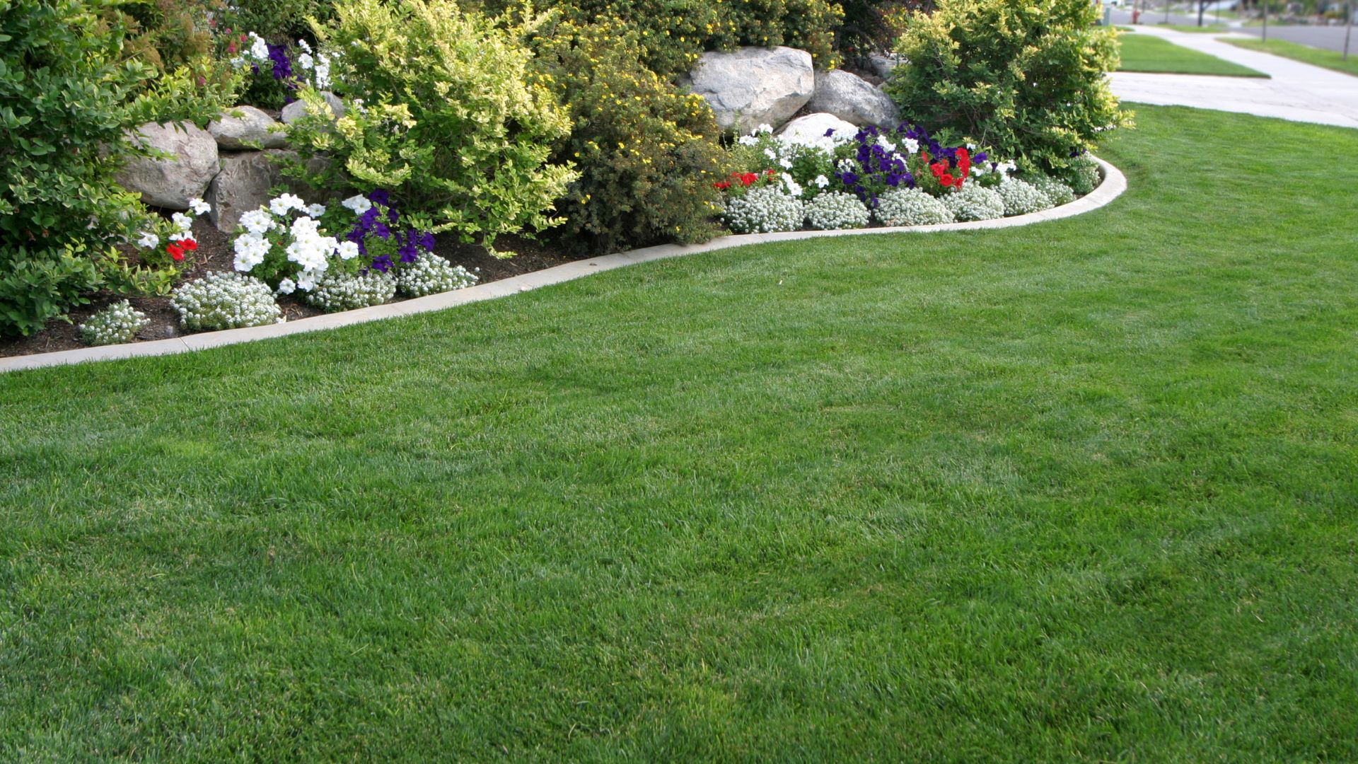 Colorful professionally installed garden bed with crisp edging
