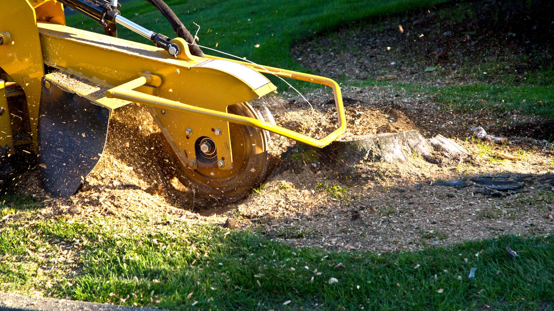 Stump grinder chewing through a tree stump on a Maryland property