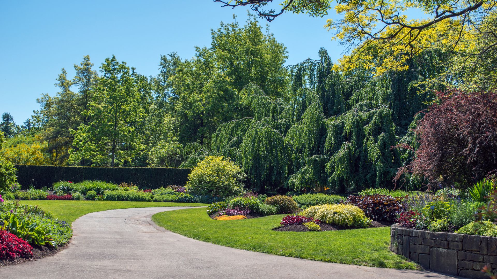 Tree-lined driveway of a beautifully maintained Crownsville, Maryland property