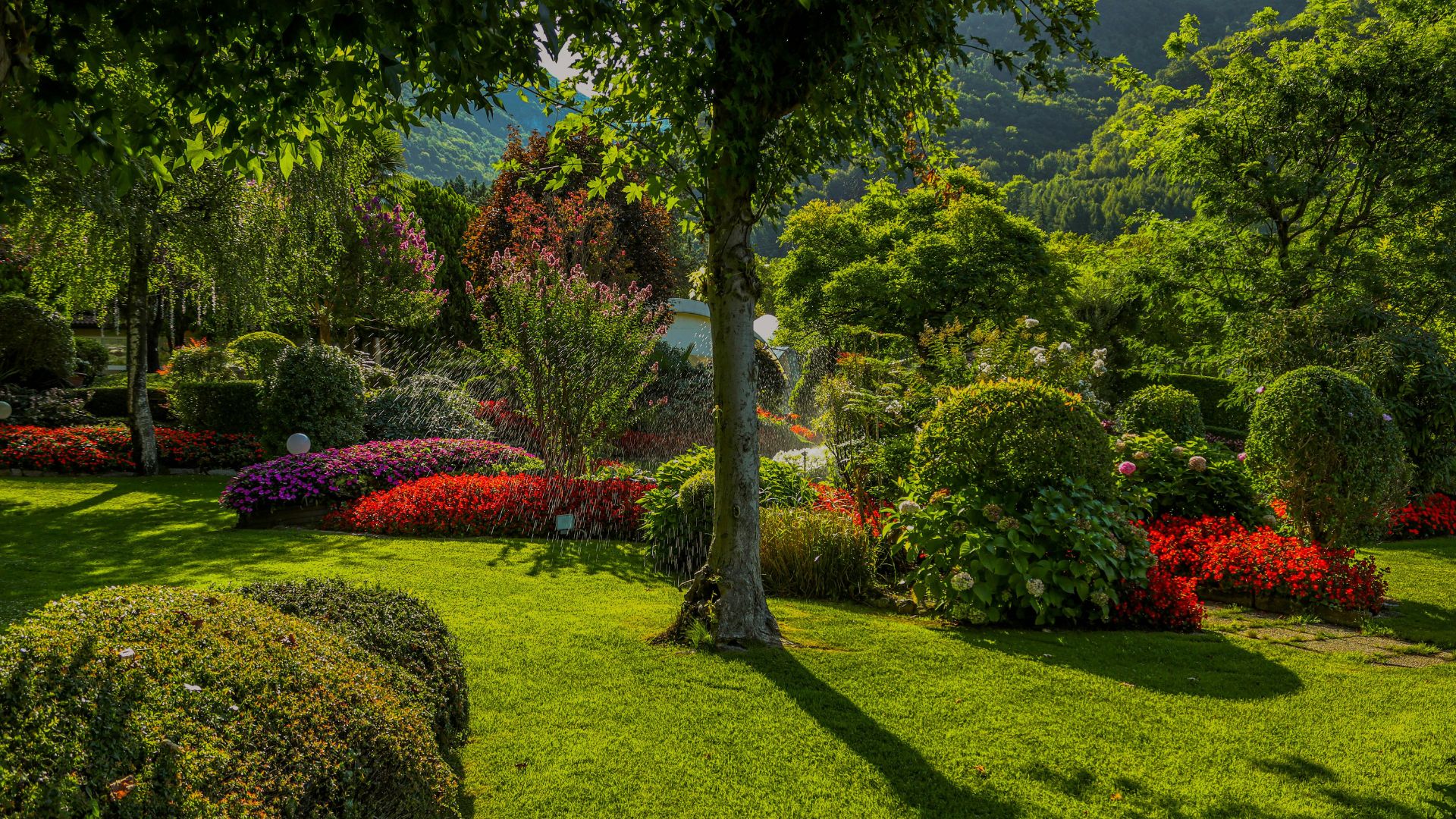 Neatly trimmed mature trees over a manicured Anne Arundel County lawn